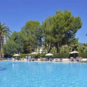 book here